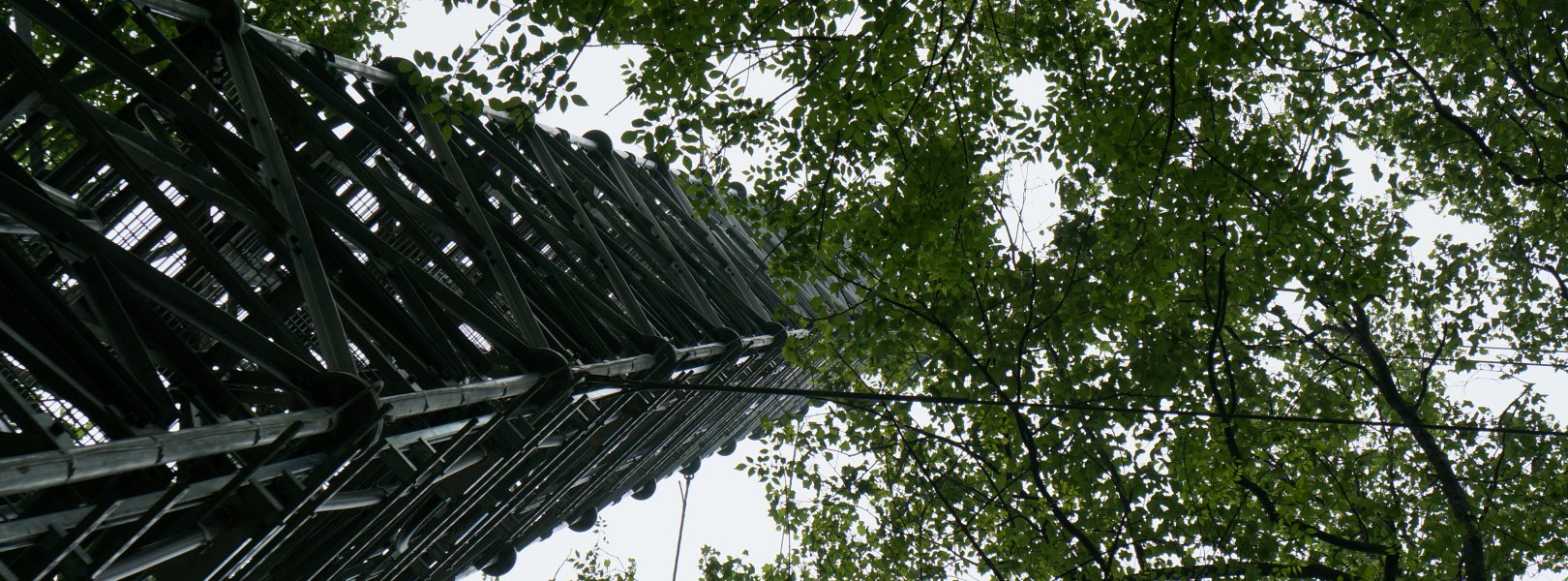 Flux tower at the SCBI field site