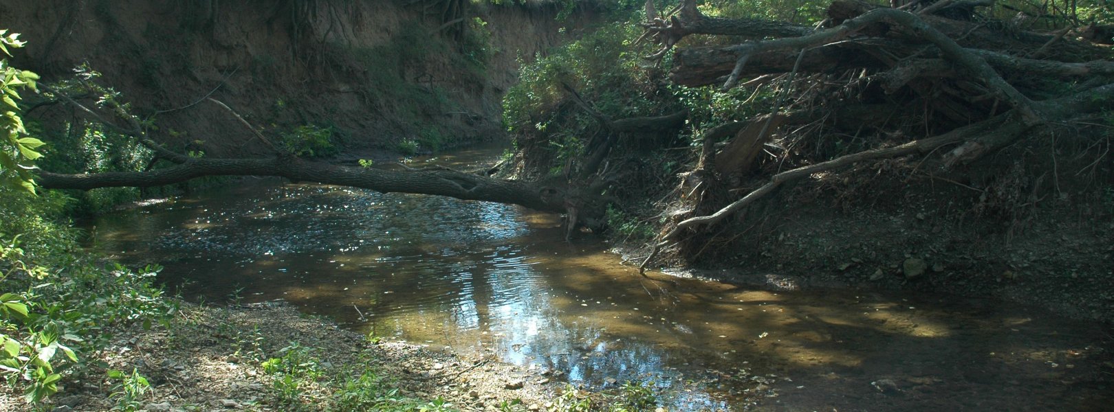 Kings Creek (KING) aquatic site