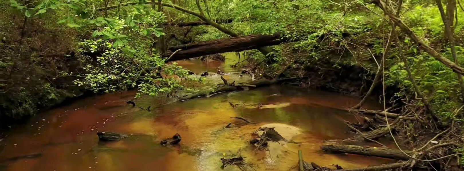 Mayfield Creek aquatic site in Domain 08, the Ozarks