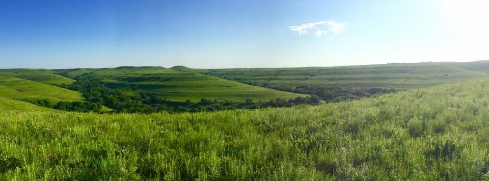 Konza Prairie Biological Station field site