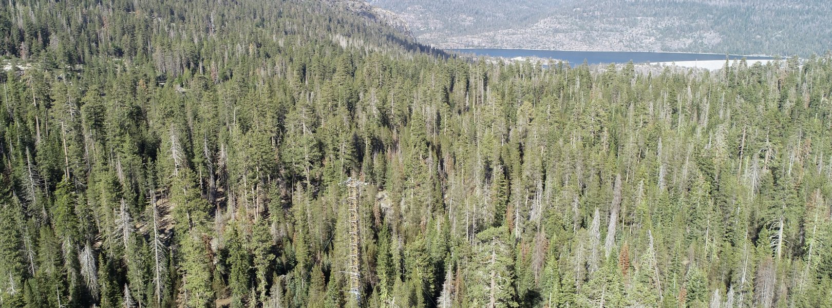 Forest and hills at Lower Teakettle terrestrial field site in California 