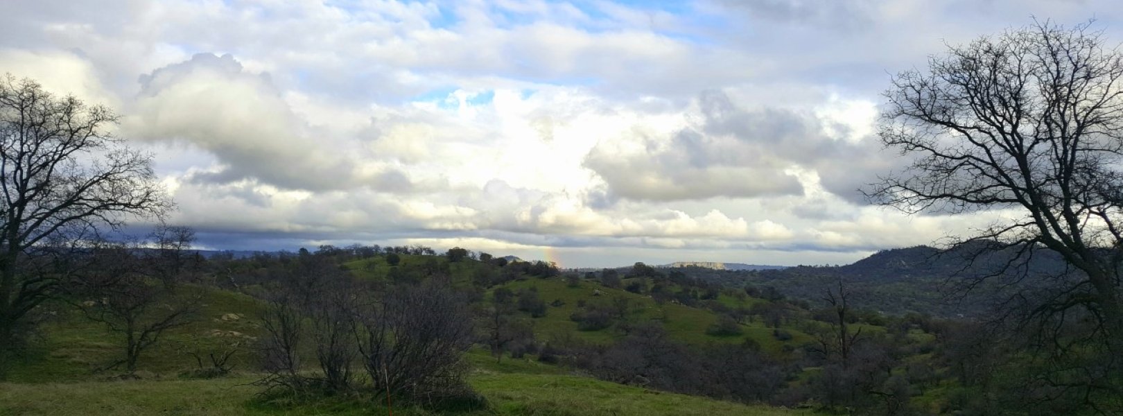 The SJER field site in California