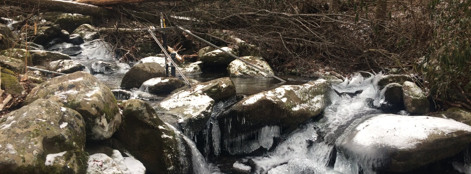 LeConte Creek aquatic site 