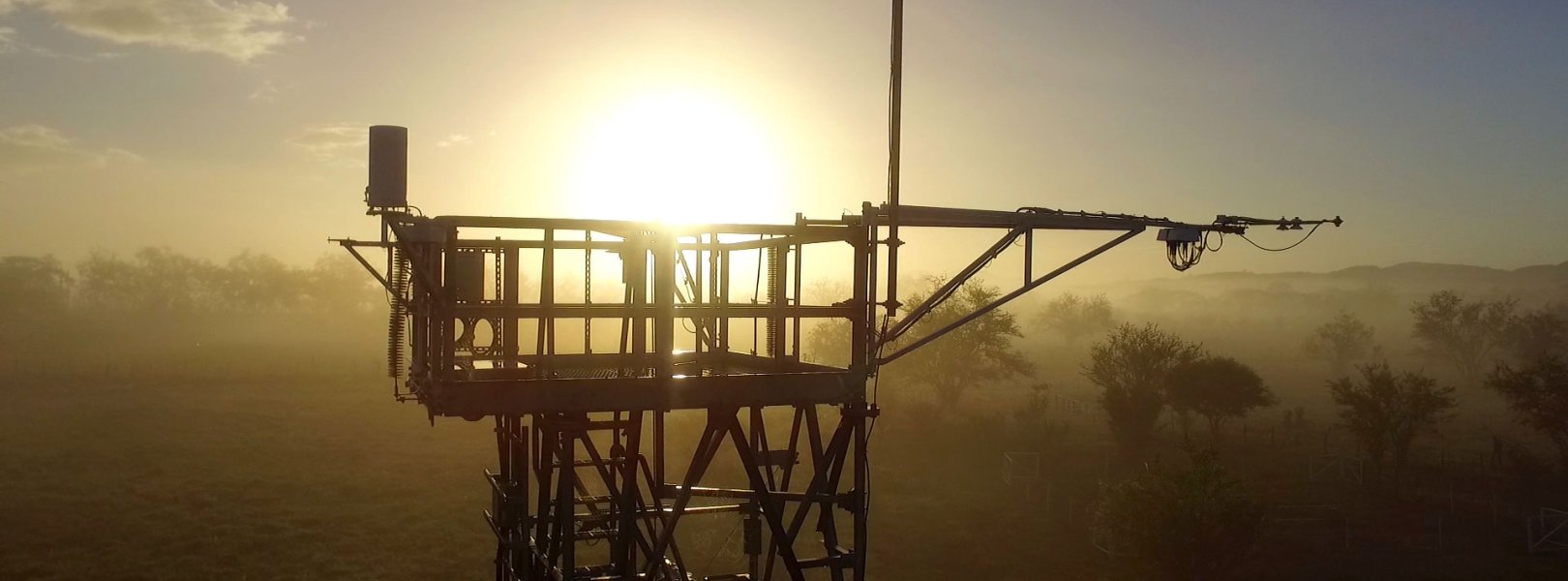 Flux tower at the Lajas Experimental Station field site