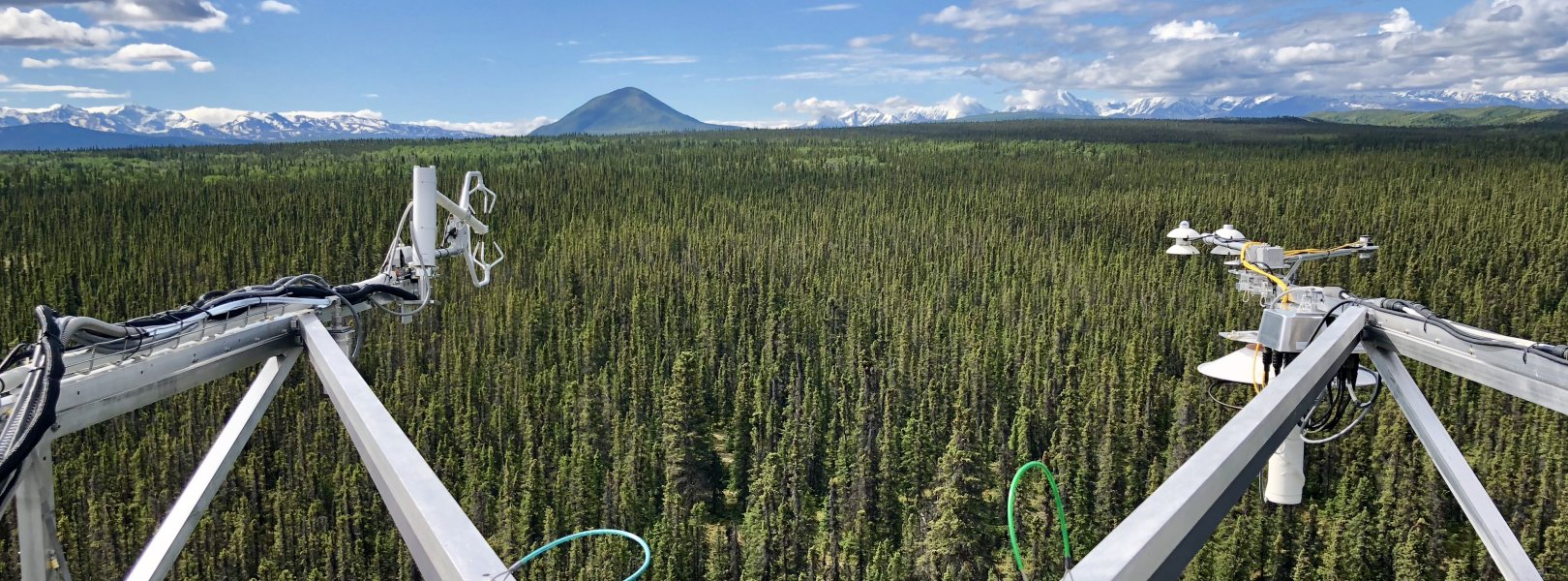 view of a field site from the top of a flux tower