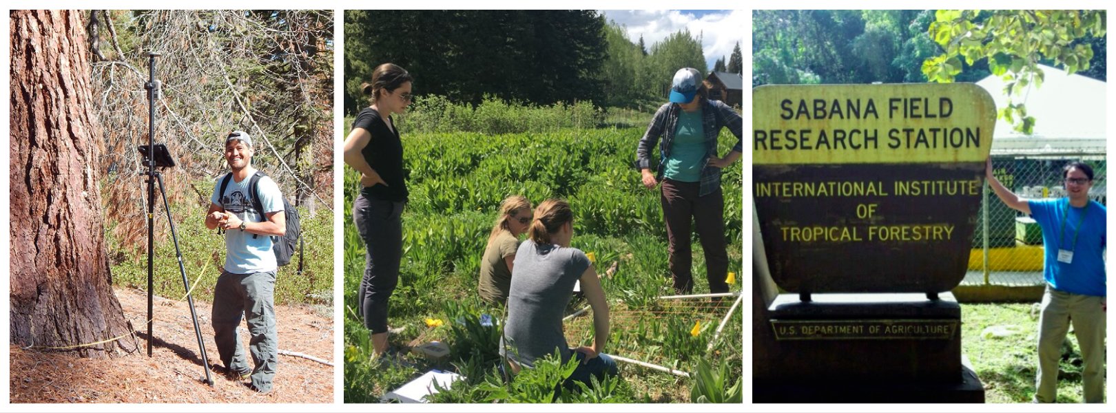 Outside researchers collecting data at NEON field sites