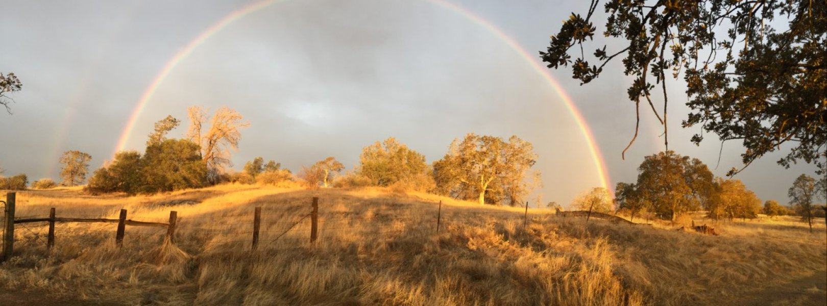 Rainbow over a field in SJER