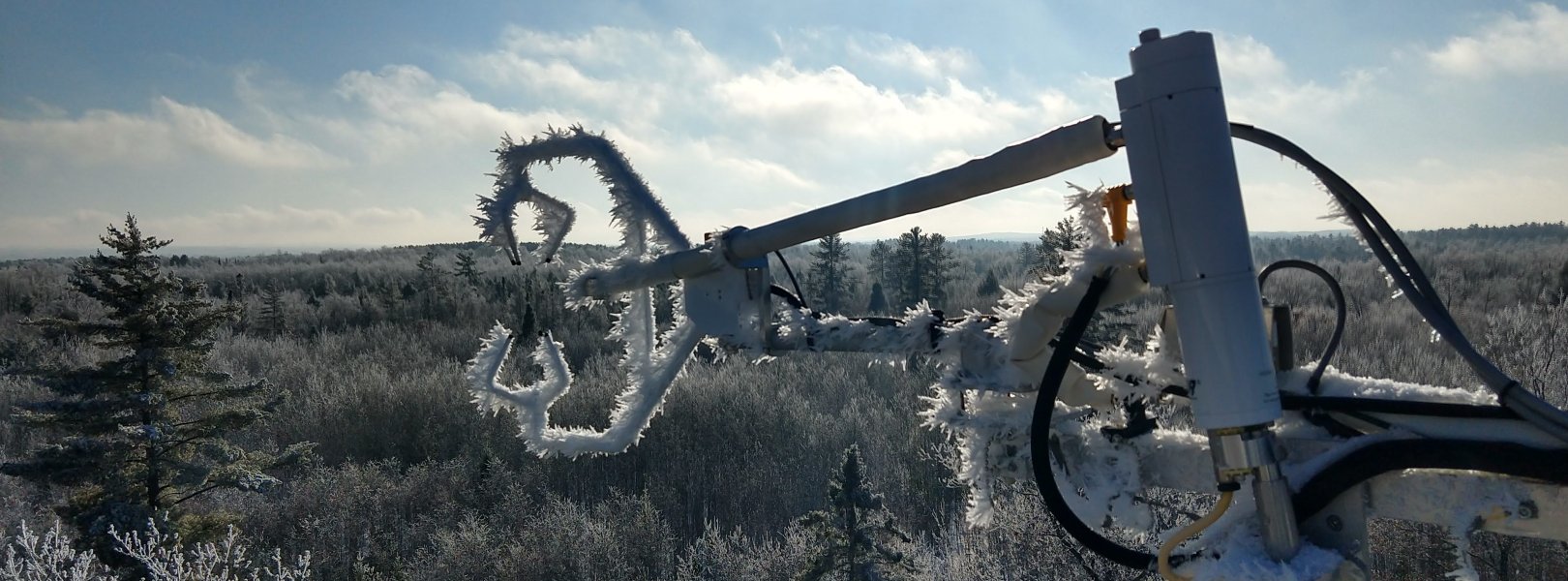 Rime ice covers the Steigerwaldt (STEI) tower and surrounding treetops on a crisp midwinter day.