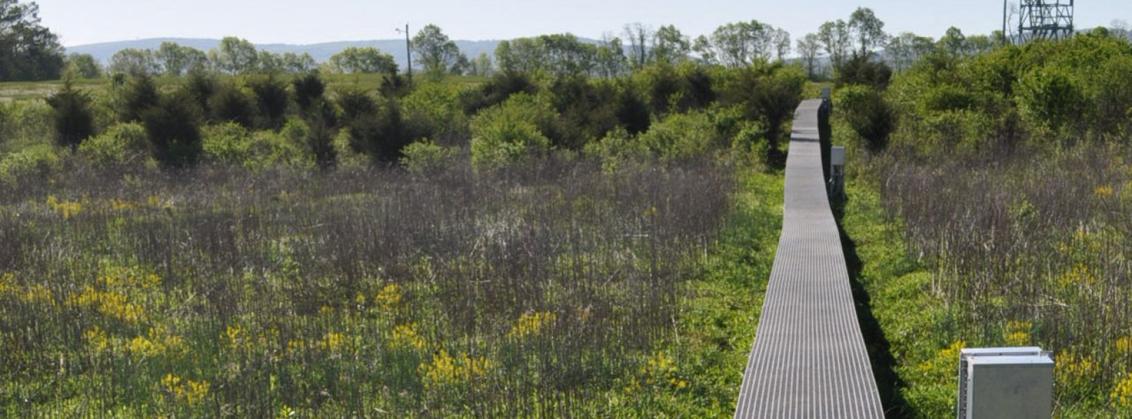 Boardwalk to the BLAN tower