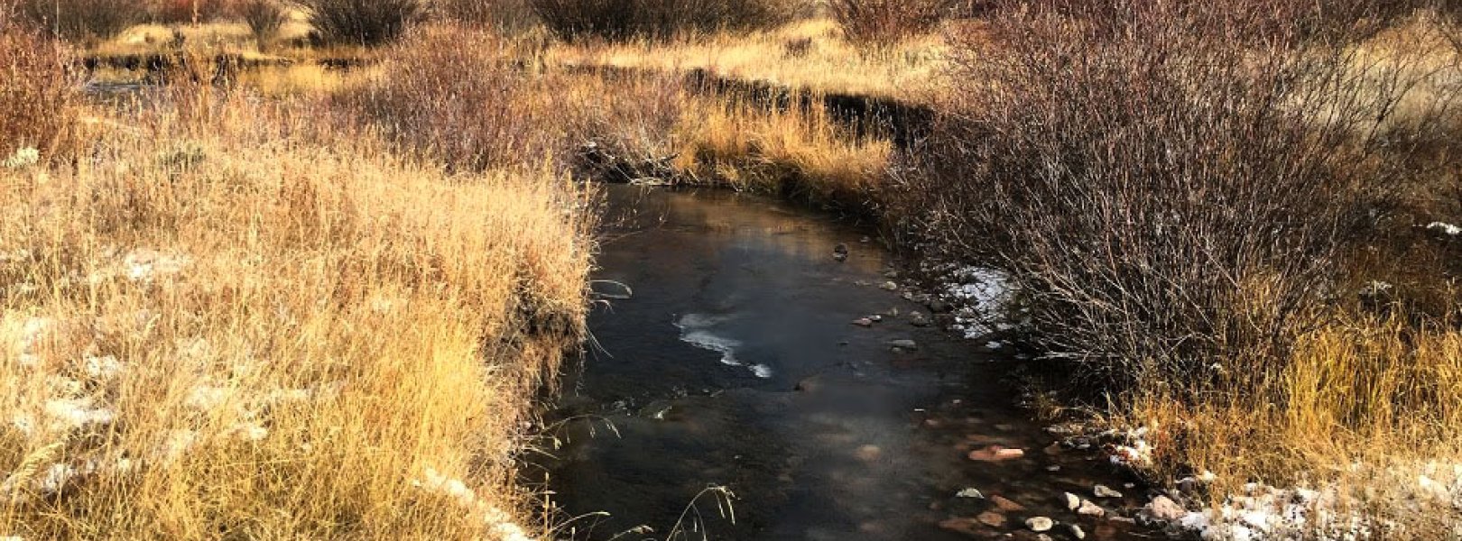 BLDE stream site in the fall