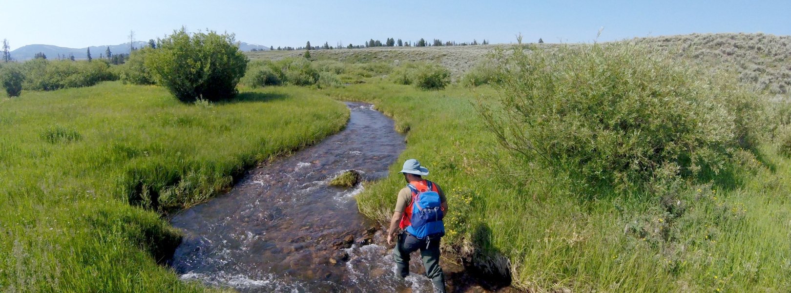 Field technician sampling at BLDE