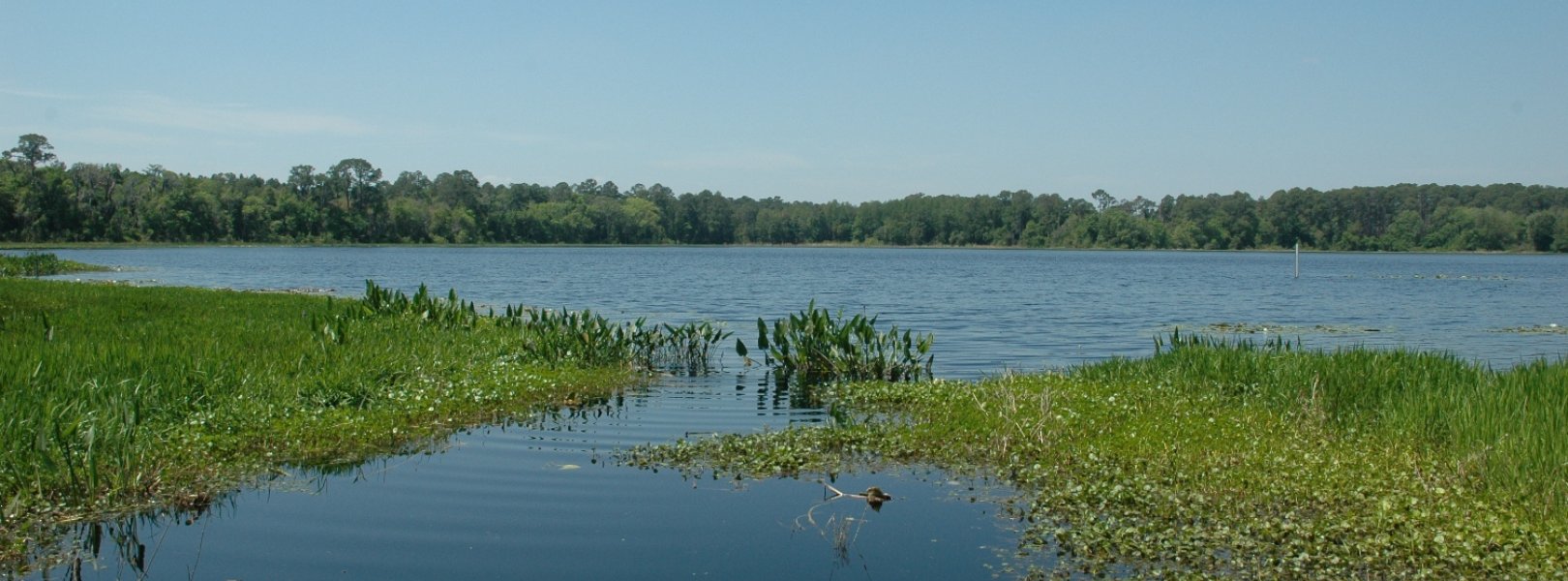 SUGG lake site in Domain 03