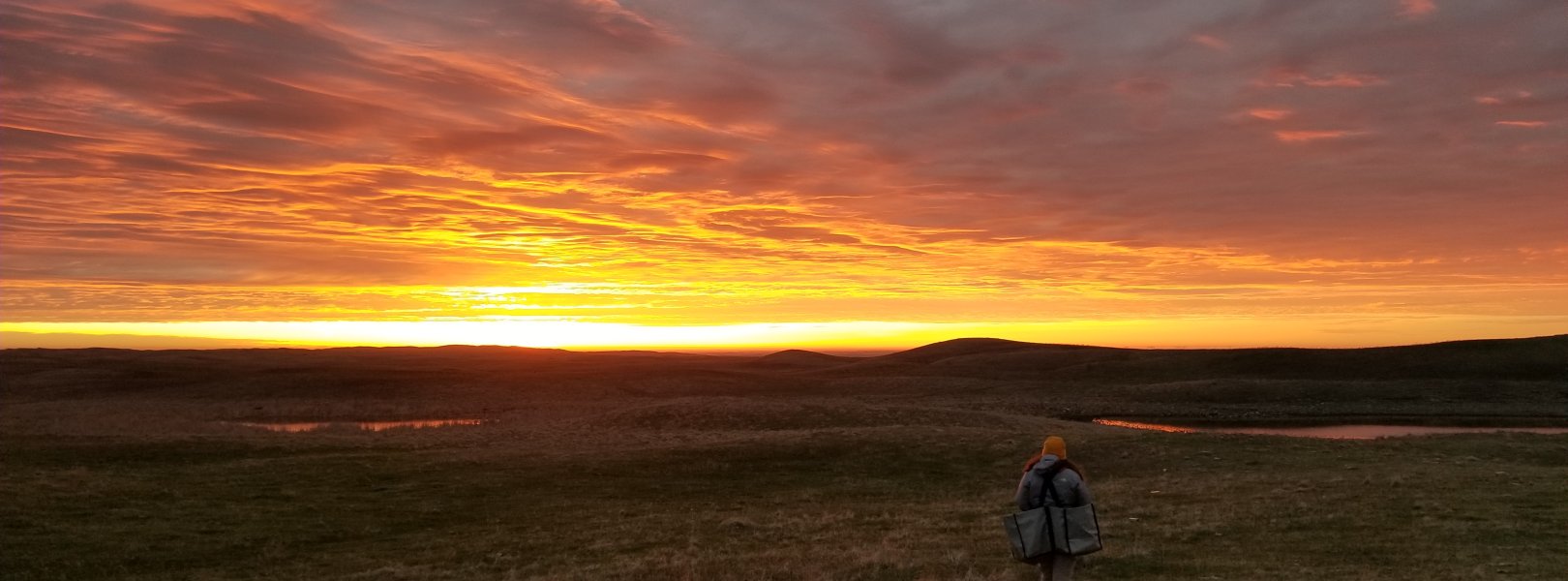 Small mammal sampling at DCFS at sunset