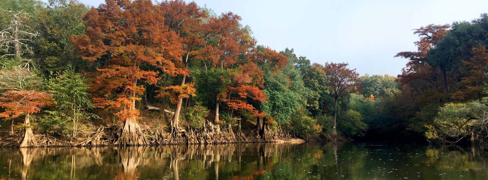 FLNT river aquatic site in the fall