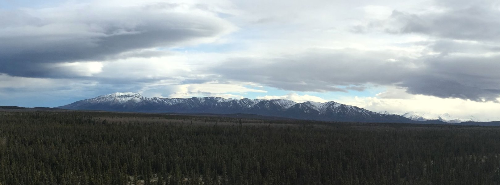 View from DEJU field site tower