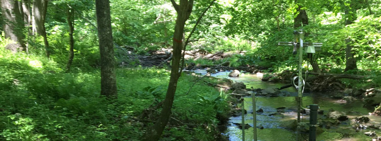 Aquatic stream site at Posey Creek