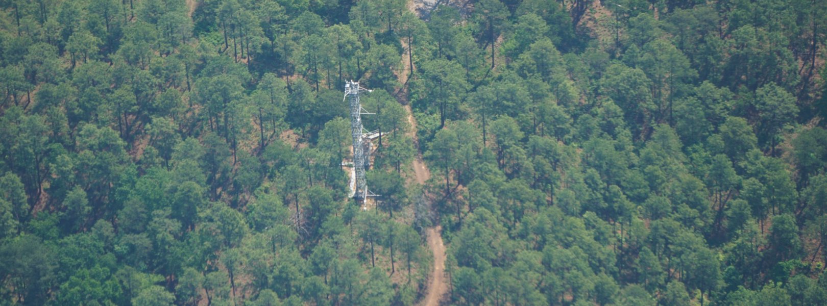 Overhead view of the TALL tower
