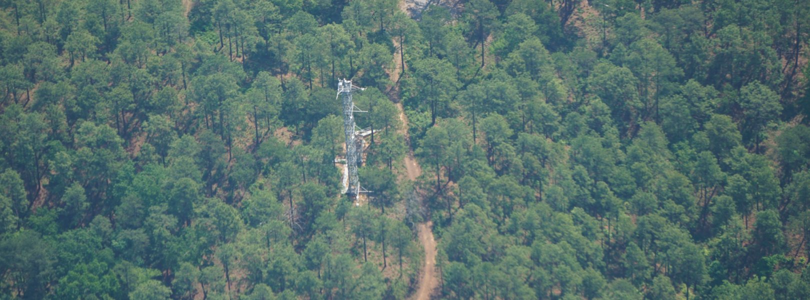 Overhead view of the TALL tower