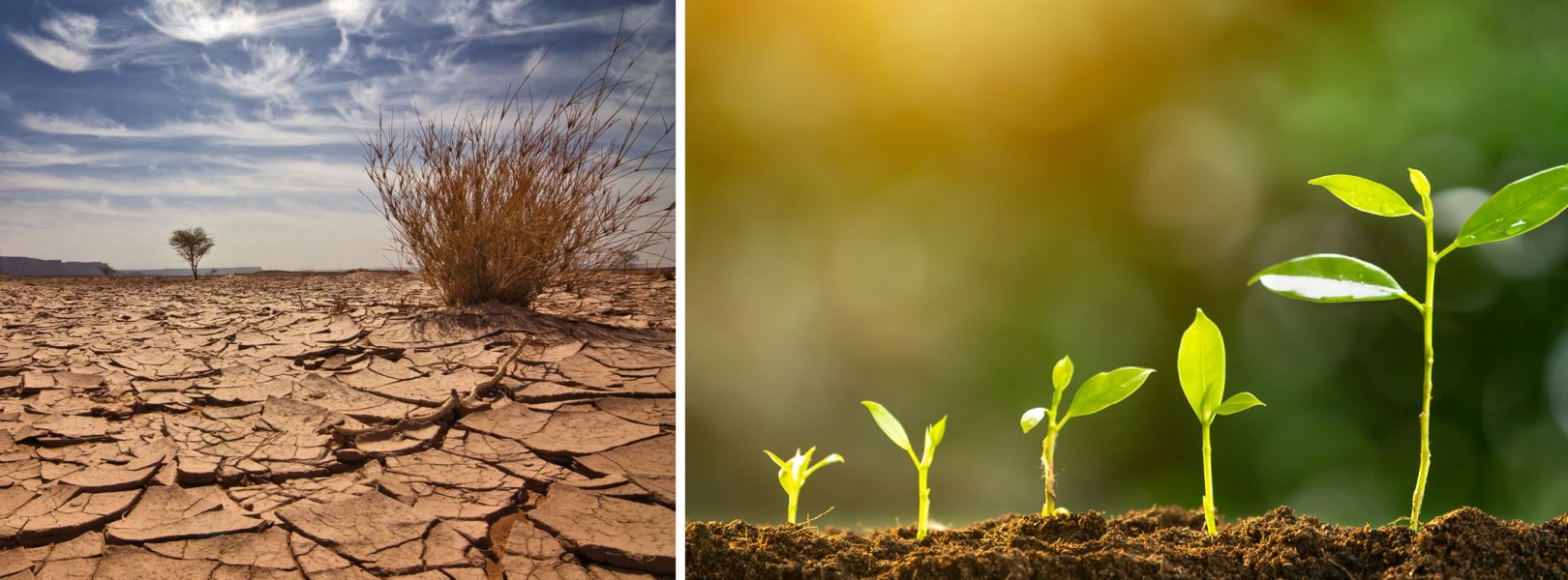 Soils in different landscapes