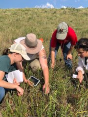 2021_photo_people_Konza plant diversity protocol
