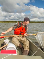 Field technician doing aquatic observational sampling