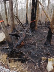 Photos of wildfire damage at GRSM. Associated article "NEON's Great Smoky Mountains Data will capture Tennessee fire impacts on local ecology"