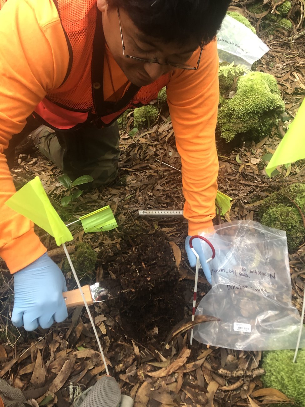 Soil Microbes NSF NEON Open Data to Understand our Ecosystems