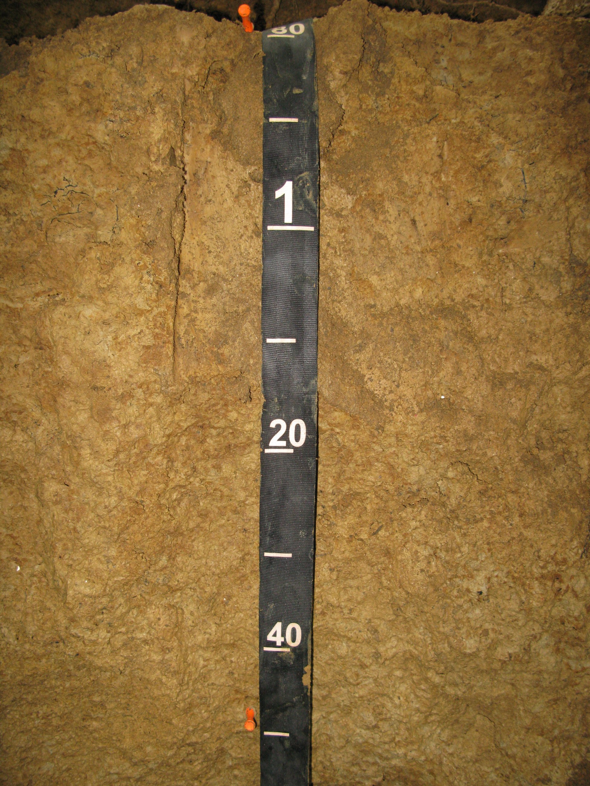 Dead Lake NEON (DELA) Soil Descriptions | NSF NEON | Open Data to