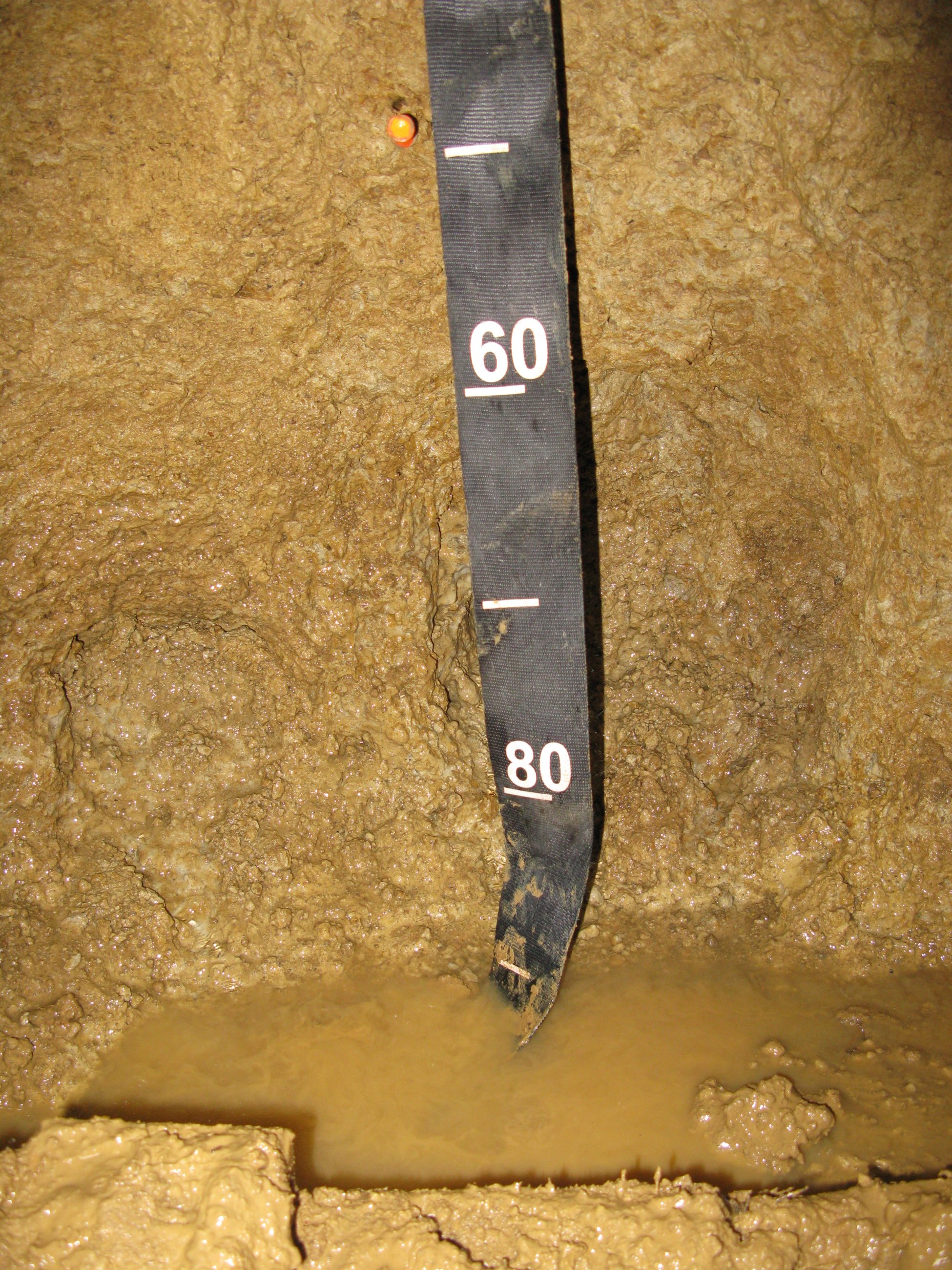 Dead Lake NEON (DELA) Soil Descriptions | NSF NEON | Open Data to
