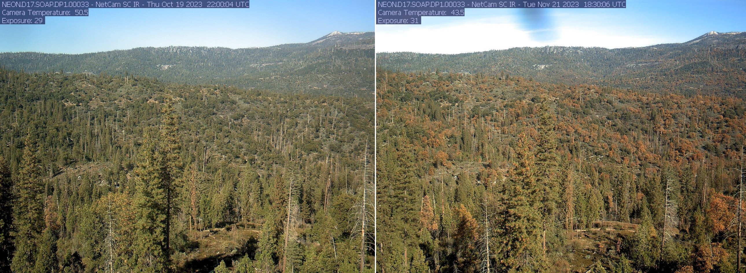 Colour Observatory NEON Sites Show Their Colors: Fall Across the Observatory | NSF NEON ...