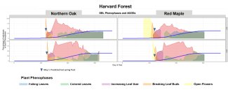 Average growing degree days at the Harvard Forest site