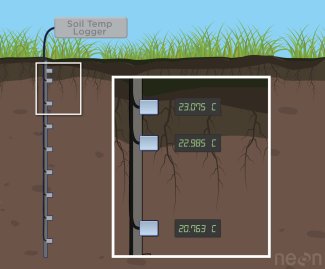 Soil Temperature Sensors Graphic