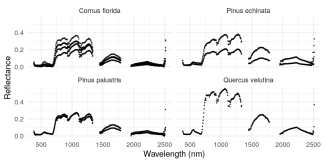 Image of spectra for four different species of plants observed at NEON sites, extracted with the neonhs package.
