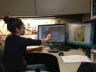 NEON employee working on a data tutoiral