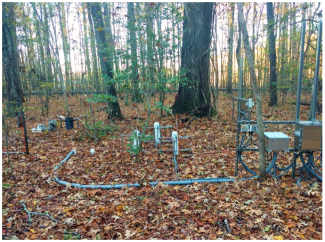 Soil sensors at the LENO field site