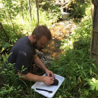 Domain 13 field ecologist scrubs periphyton on a cobble at the COMO field site (photo by Stephanie Parker)