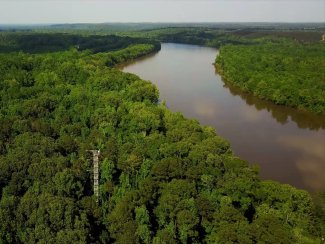 LENO flux tower and TOMB river