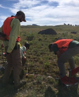 Monitoring plant diversity at the Yellowstone site. Research coordinated under Yellowstone Research Permit: YELL-2018-SCI-5870.