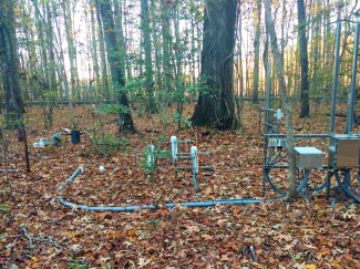 A sensor-based soil plot at the LENO site. Note that some sensors are only present in a subset of soil plots.