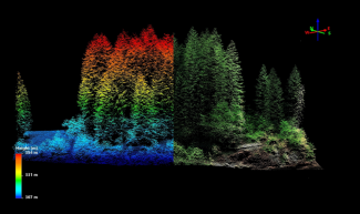 Figure 3 – Sample discrete lidar point cloud of a forest stand at WREF 