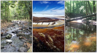 Stream morphology is highly variable in watersheds across the United States.  Left to right: examples of different geomorphic conditions at NEON aquatic monitoring sites in Domain 04 Río Cupeyes (CUPE), Domain 19 Oksrukuyik Creek (OKSR), and Domain 08 Mayfield Creek (MAYF).  
