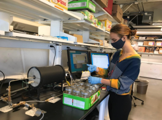 Gas measurement on samples.