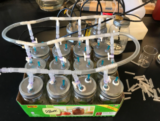 Flushing the soil samples after gas measurement.