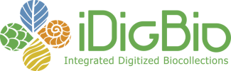 iDigBio logo