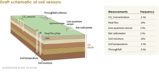 Schematic layout of a sensor-based soil plot. Note that some sensors are only present in a subset of soil plots.