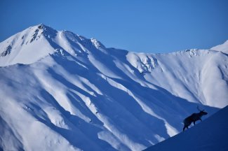 Second Place: Atigun Pass in the Brooks Range of Alaska. Photo by Josh Buza.