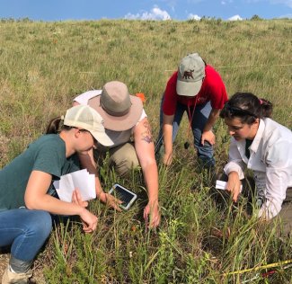 2021_photo_people_Konza plant diversity protocol