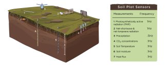 spatial layout of soil sensors
