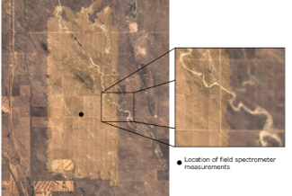 AOP hyperspectral image and Landsat 8