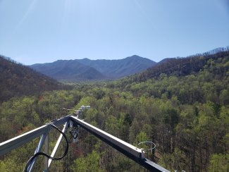 View of Mt. LeConte from GRSM Tower.